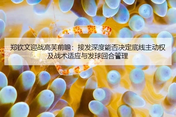 zheng-qin-wen-ying-zhan-gao-fu-qian-zhan-jie-fa-shen-du-neng-fou-jue-ding-di-xian-zhu-dong-quan-ji-zhan-shu-shi-ying-yu-2-321.jpg